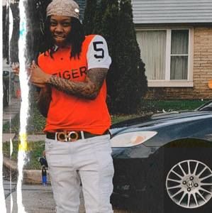 Meet your Posher, Benji